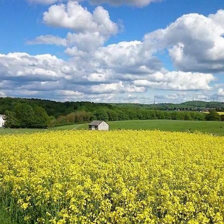 Ferienwohnung An Der Almequelle Brilon Bagian luar foto