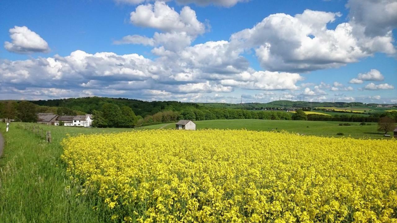 Ferienwohnung An Der Almequelle Brilon Bagian luar foto